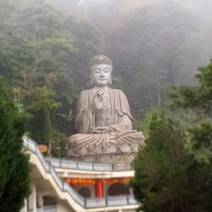 Buddha on Highland